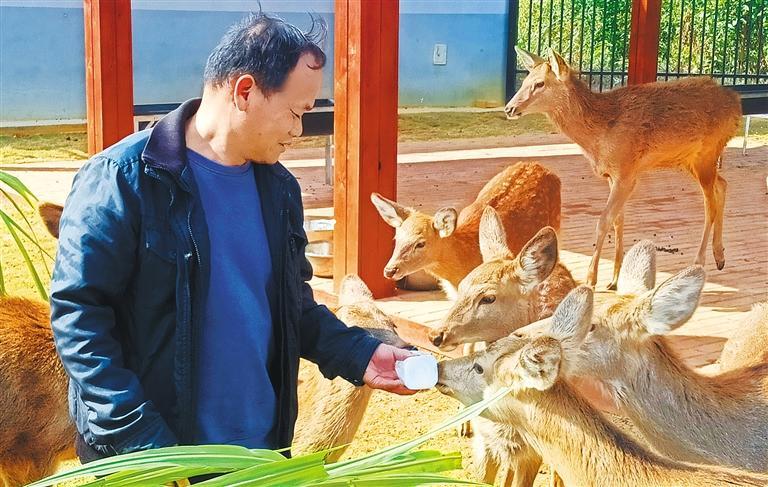 展产业调研】林下生金不朽情缘【高质量发(图2)