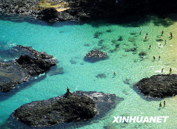 的费尔南多—迪诺罗尼亚岛不朽情缘游戏网站